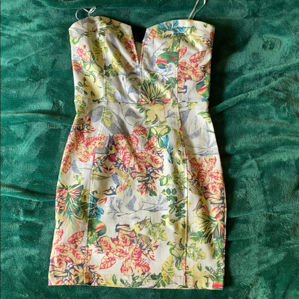 Dress brand new